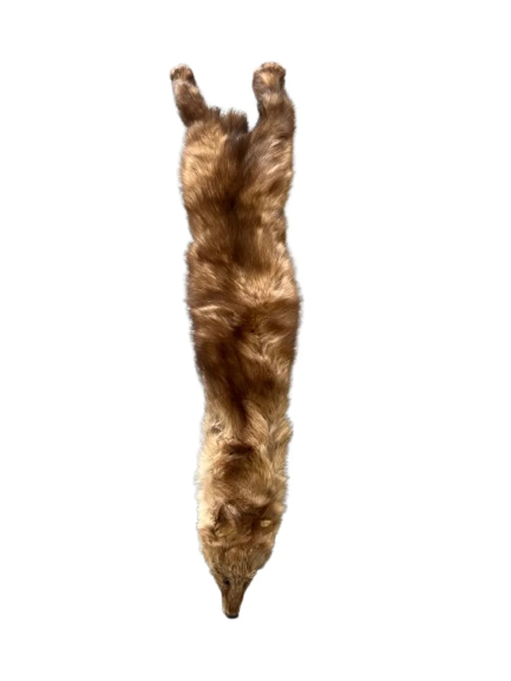 VTG Stone Marten Real Fur Scarf Taxidermy w/ Paws Tail Shawl Wrap Neck Warmer
